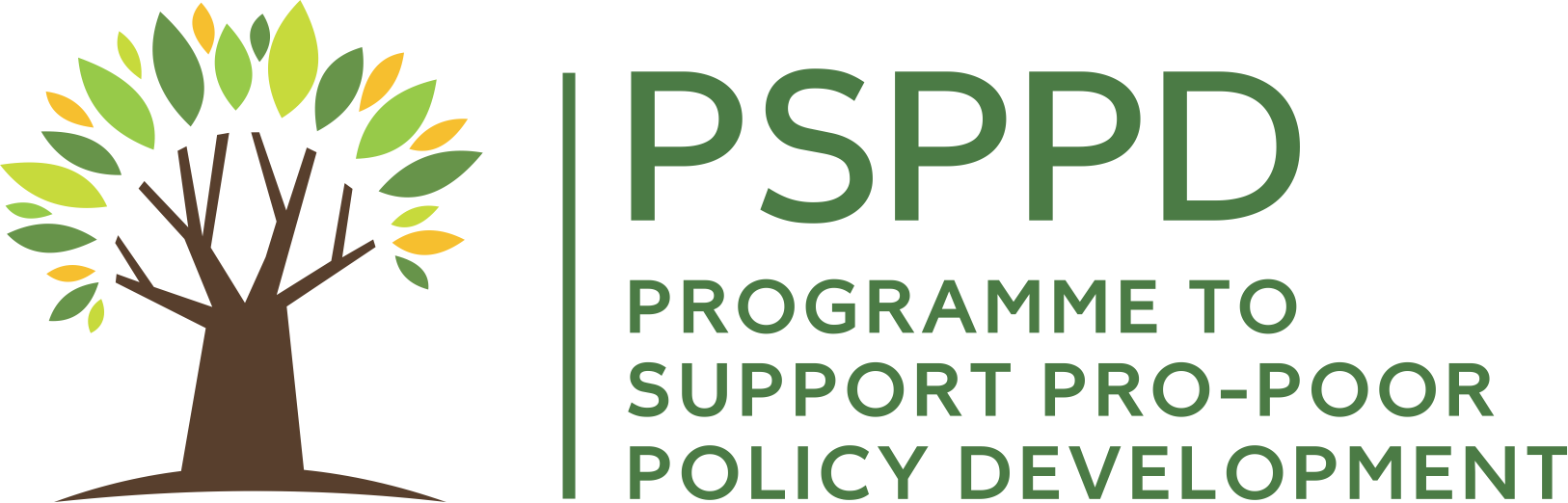 Programme to support pro-poor policy development
